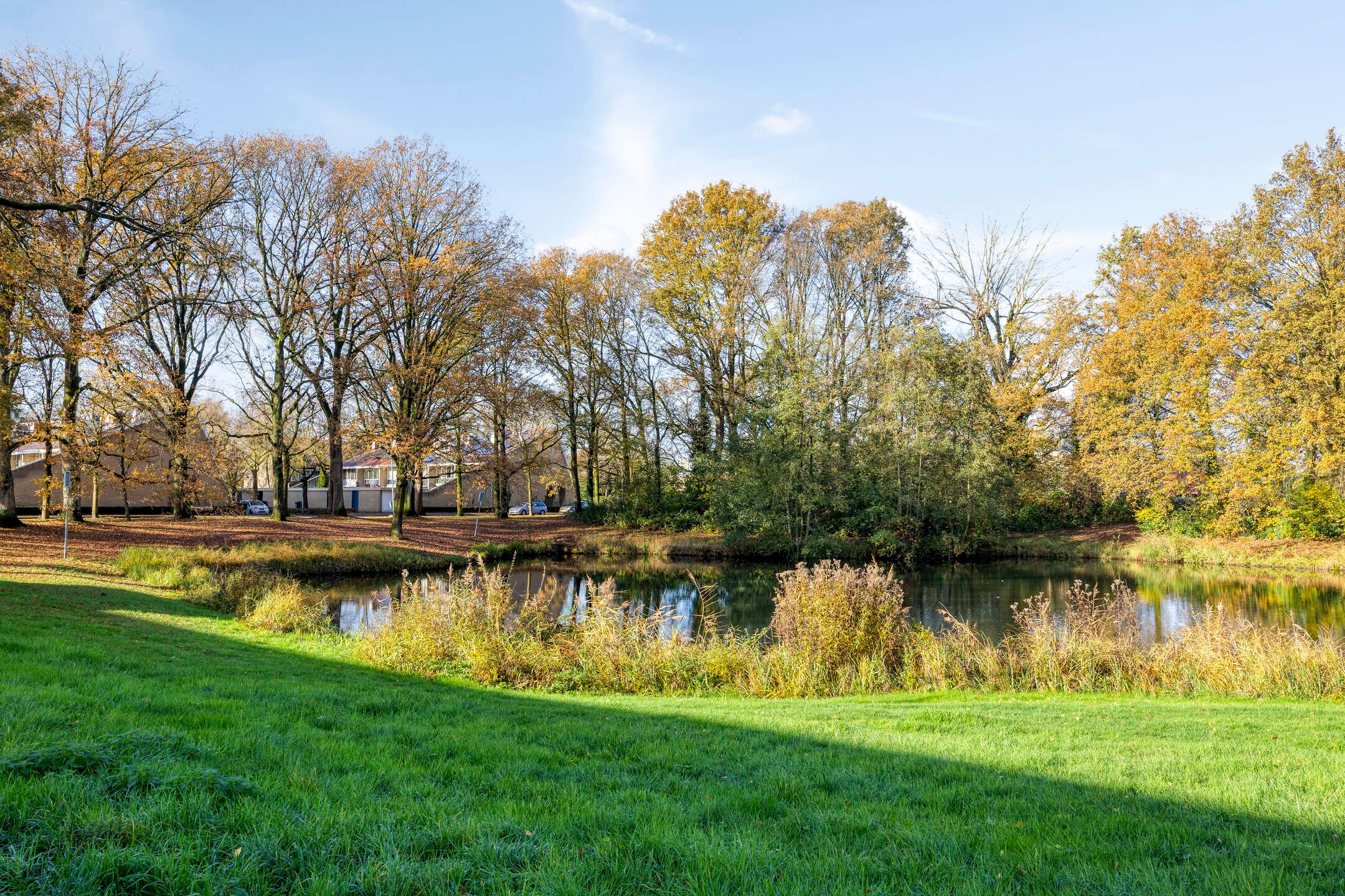 Foto 39 van Meijhorst 9203