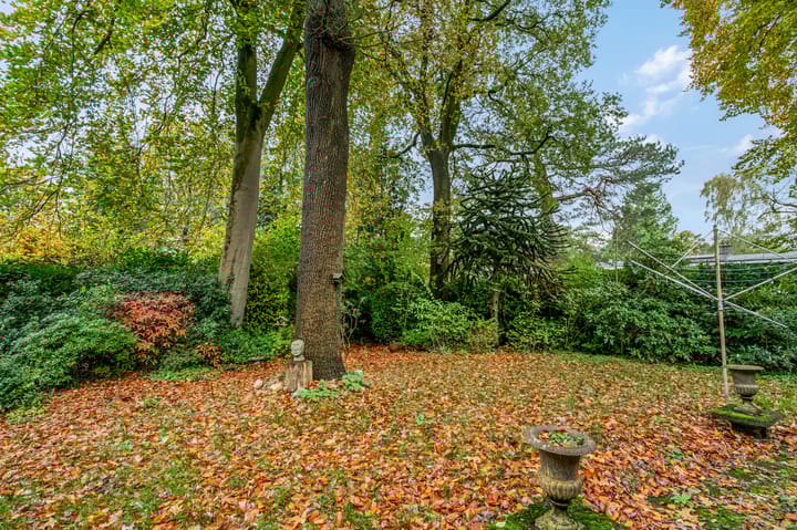 Photo 23 of Buurtmeesterweg 42