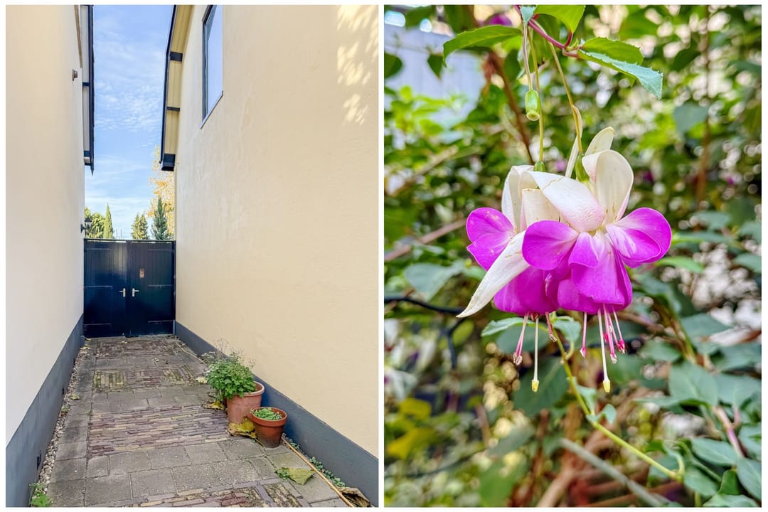 Foto 28 van Violenstraat 73