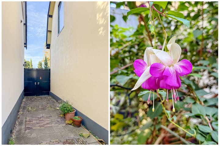 Foto 28 van Violenstraat 73