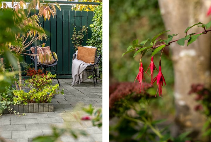 Photo 3 of Wantschipperstraat 3