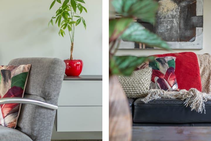 Photo 5 of Wantschipperstraat 3