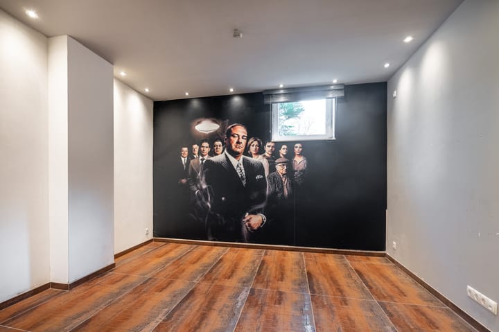 Foto 20 van Wimmersstraat 30-A