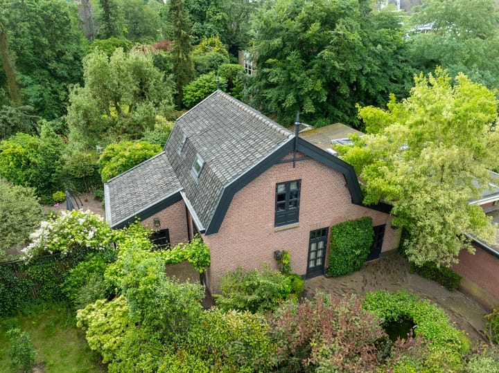 Albertus Perkstraat 37-A main image