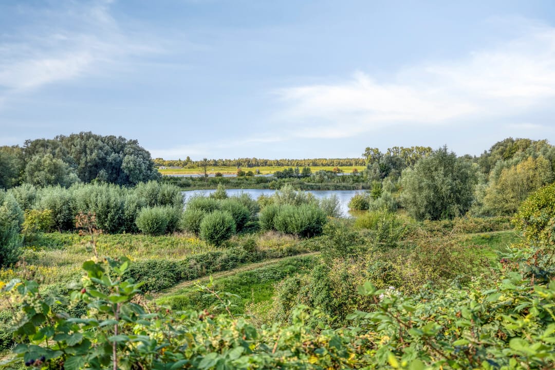 Photo 53 of Utrechtsestraatweg 31