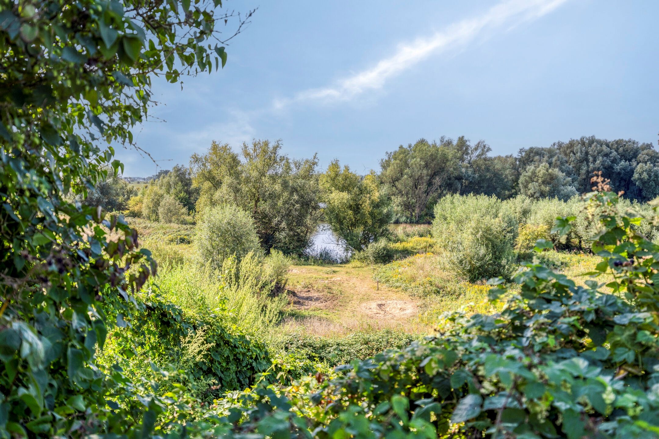 Photo 54 of Utrechtsestraatweg 31