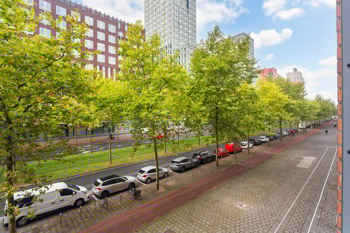 Foto 18 van Willem Molenbroekplein 9