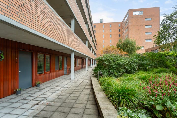 Foto 19 van Willem Molenbroekplein 9