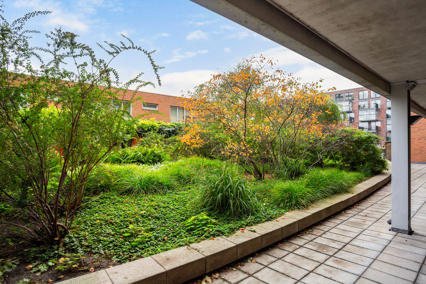 Foto 20 van Willem Molenbroekplein 9