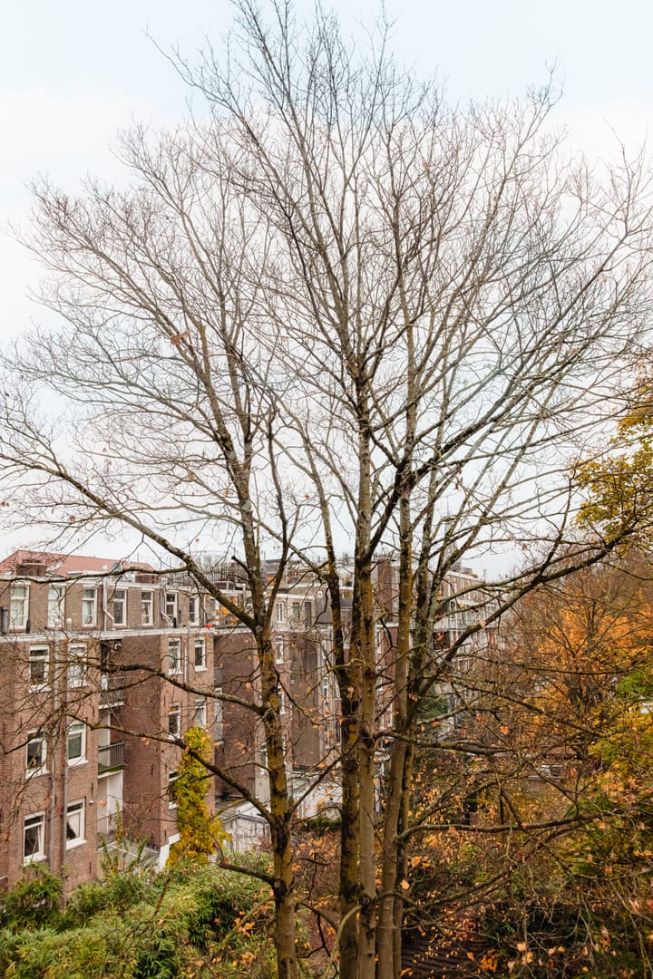 Photo 18 of Ferdinand Bolstraat 141-3