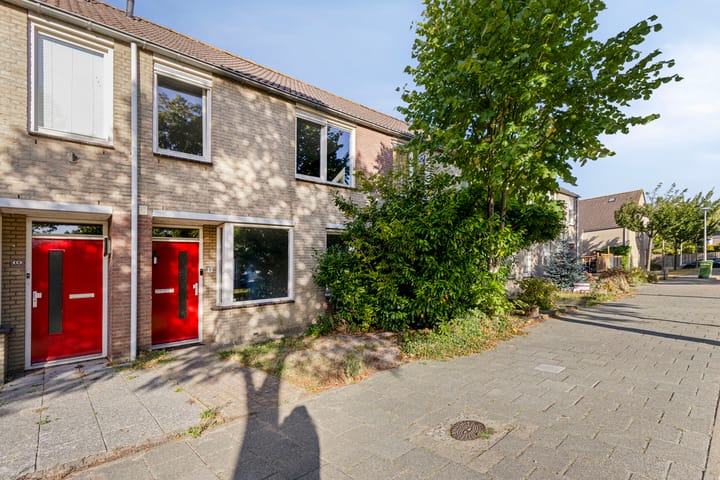 Photo 5 of Kouwerve 8