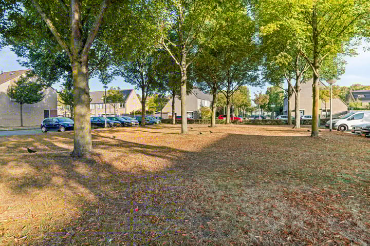 Photo 42 of Kouwerve 8