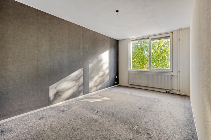 Photo 25 of Kouwerve 8