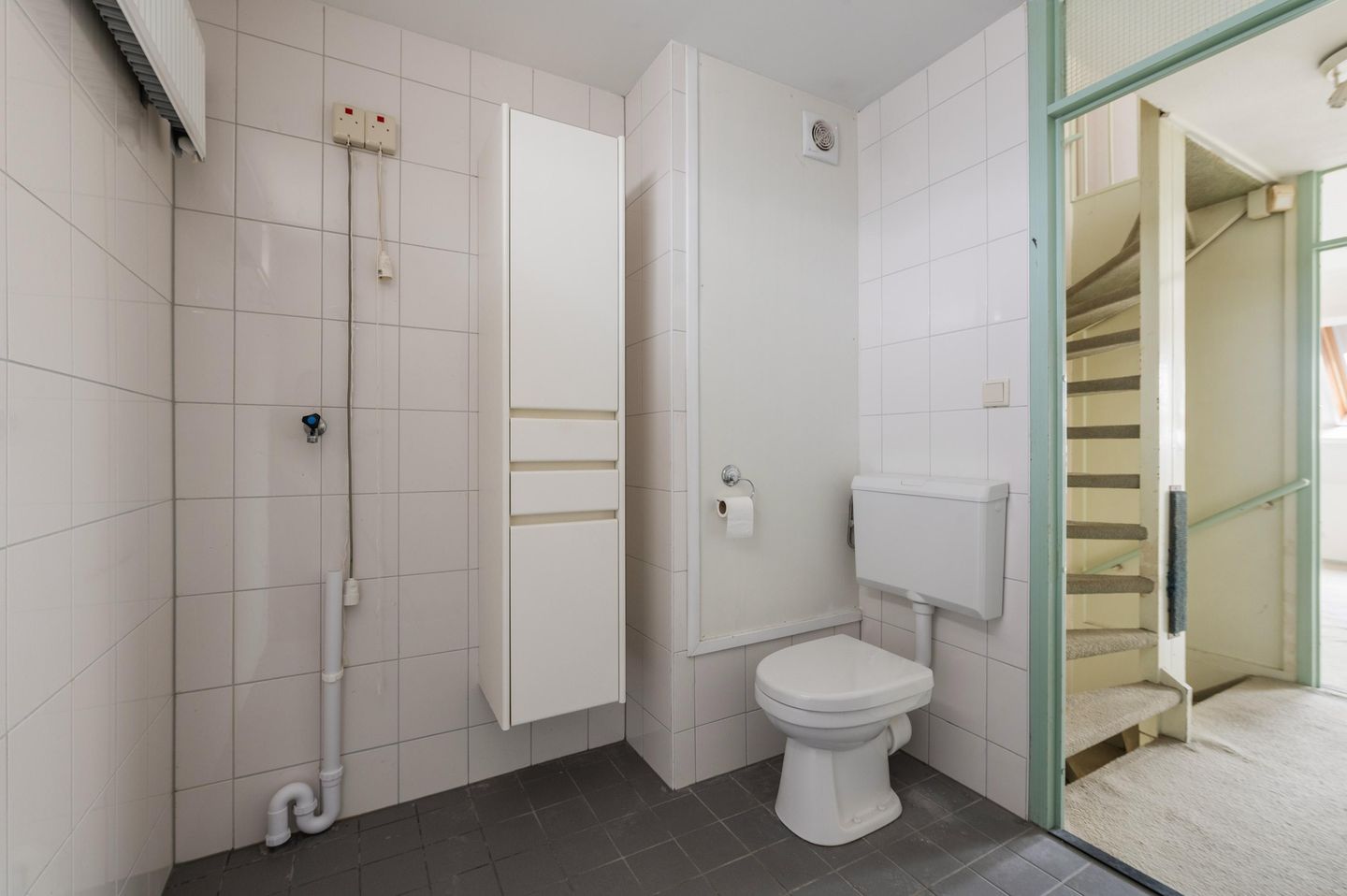 Foto 5 van Goudfazant 15