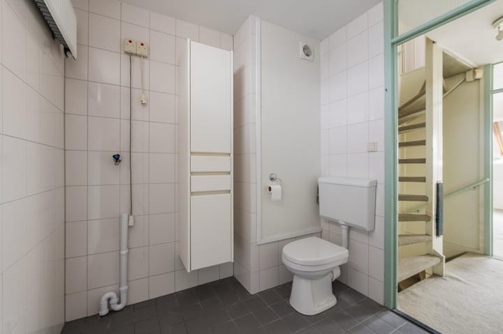 Foto 5 van Goudfazant 15