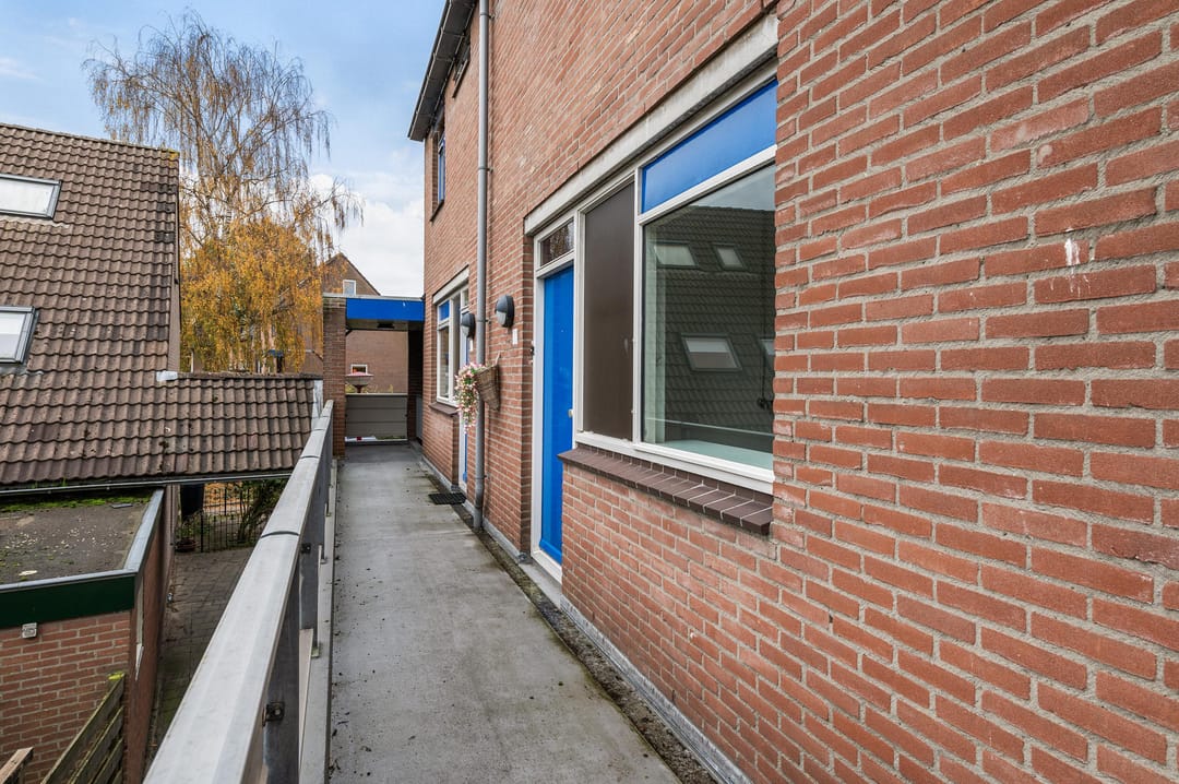 Foto 7 van Goudfazant 15