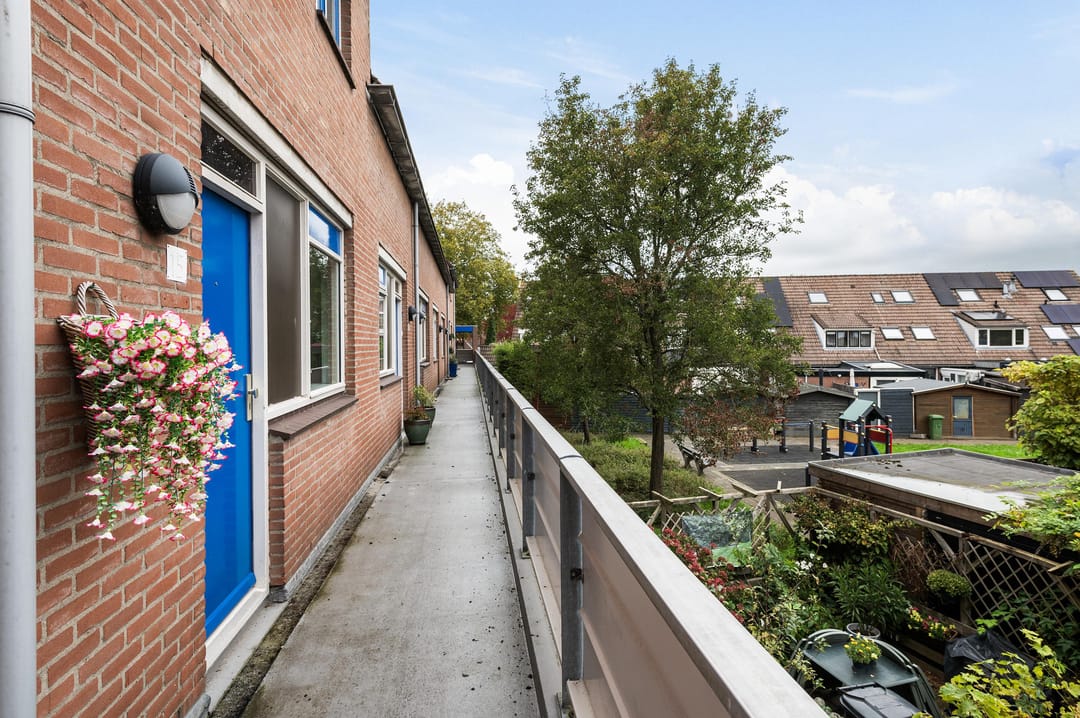 Foto 8 van Goudfazant 15