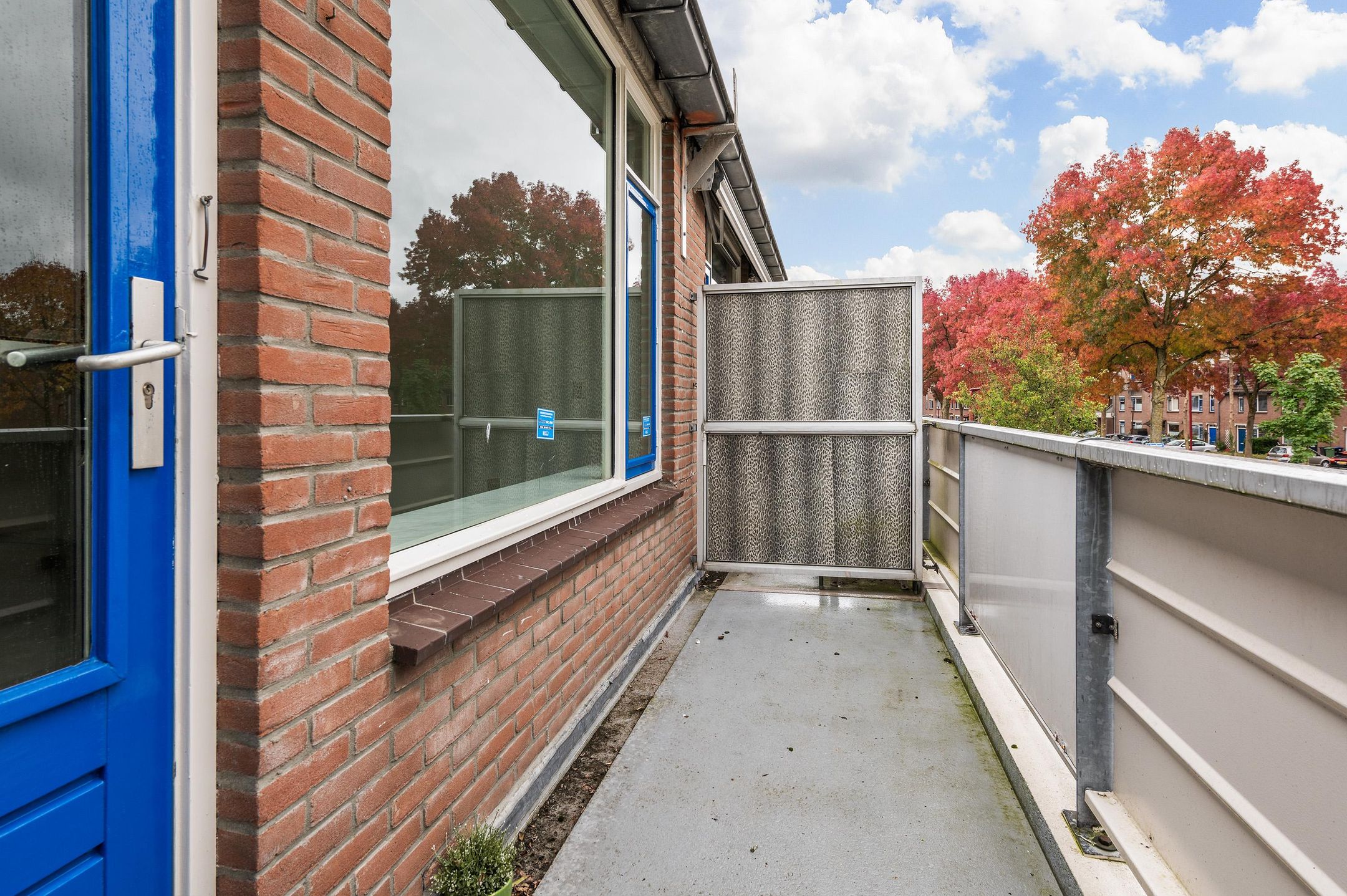 Foto 9 van Goudfazant 15