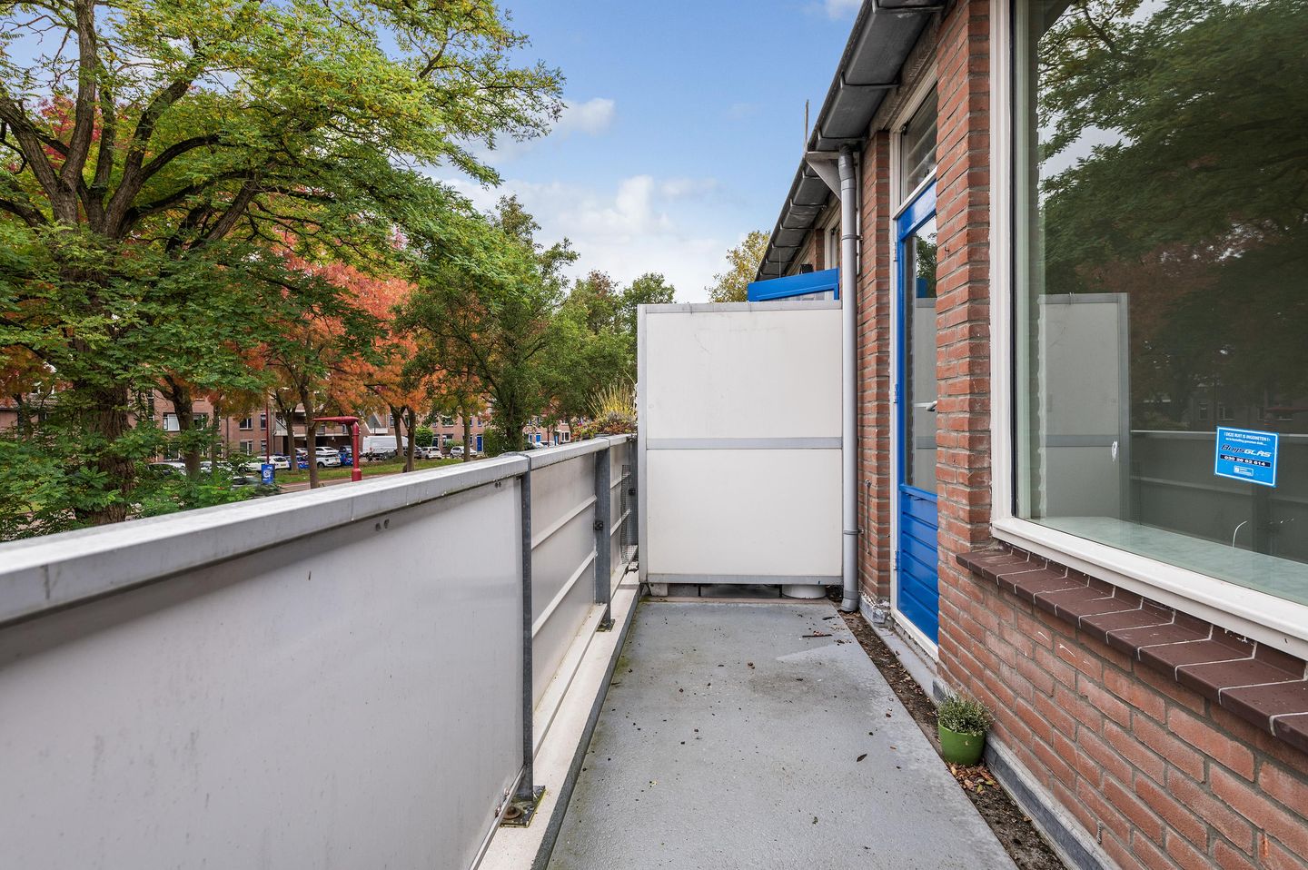 Foto 10 van Goudfazant 15