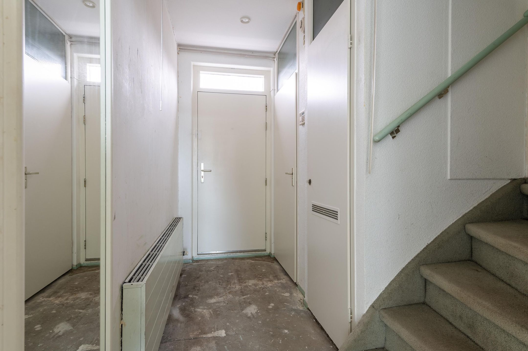 Foto 12 van Goudfazant 15