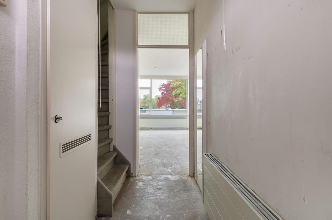 Foto 13 van Goudfazant 15