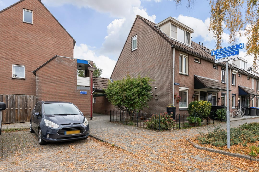 Foto 1 van Goudfazant 15