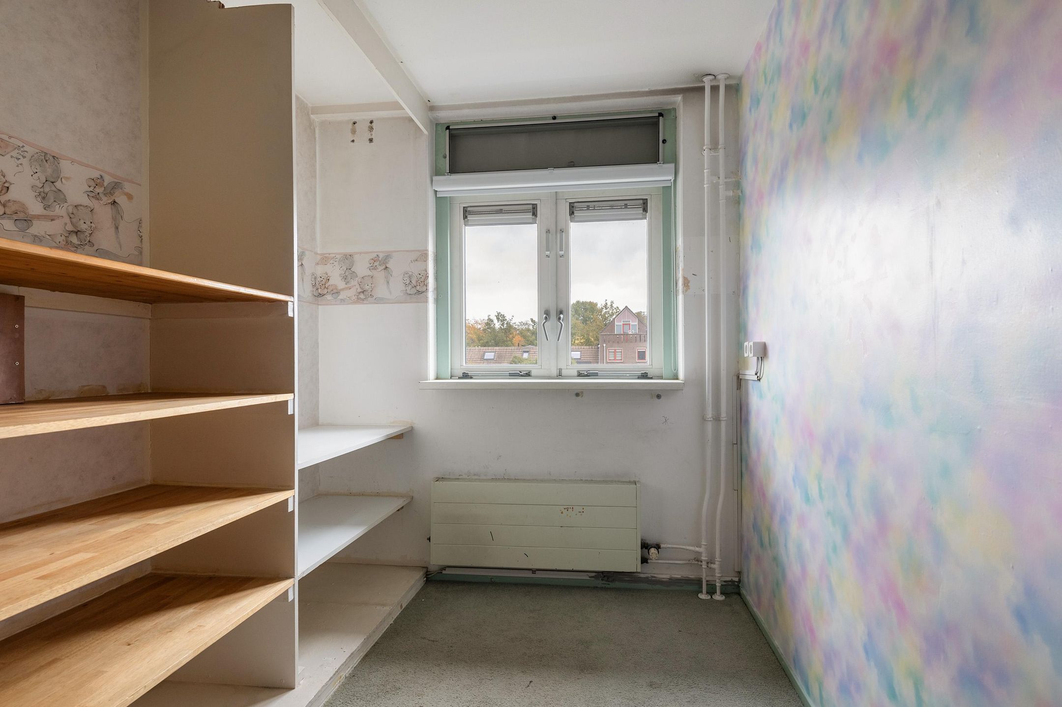 Foto 15 van Goudfazant 15