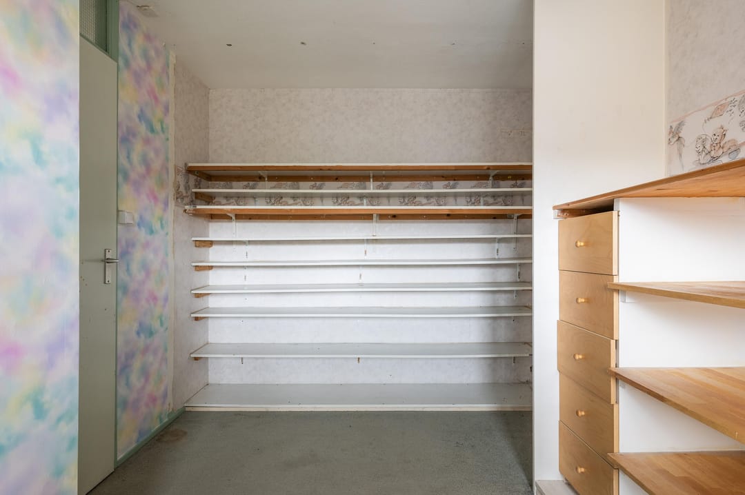 Foto 16 van Goudfazant 15