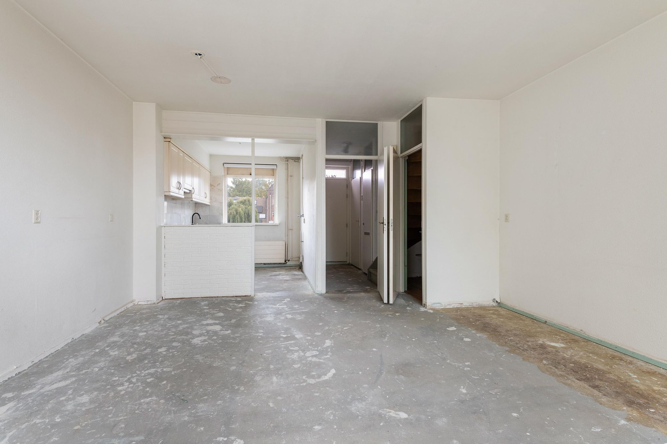 Foto 18 van Goudfazant 15