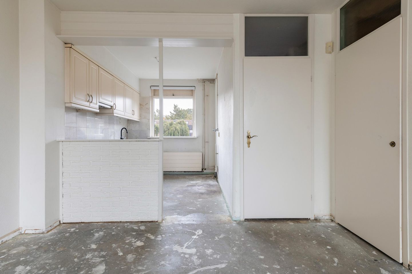 Foto 19 van Goudfazant 15