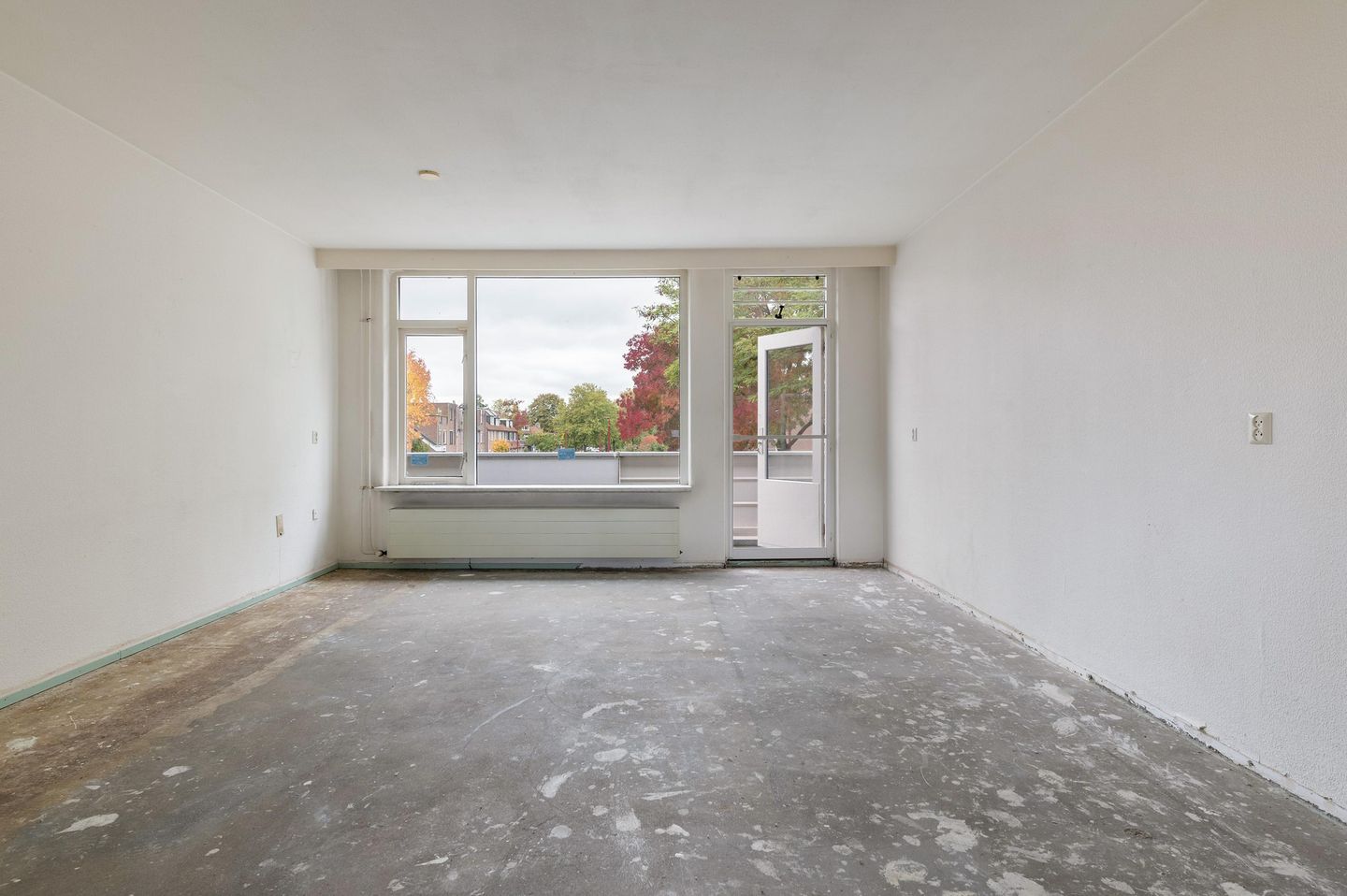 Foto 20 van Goudfazant 15