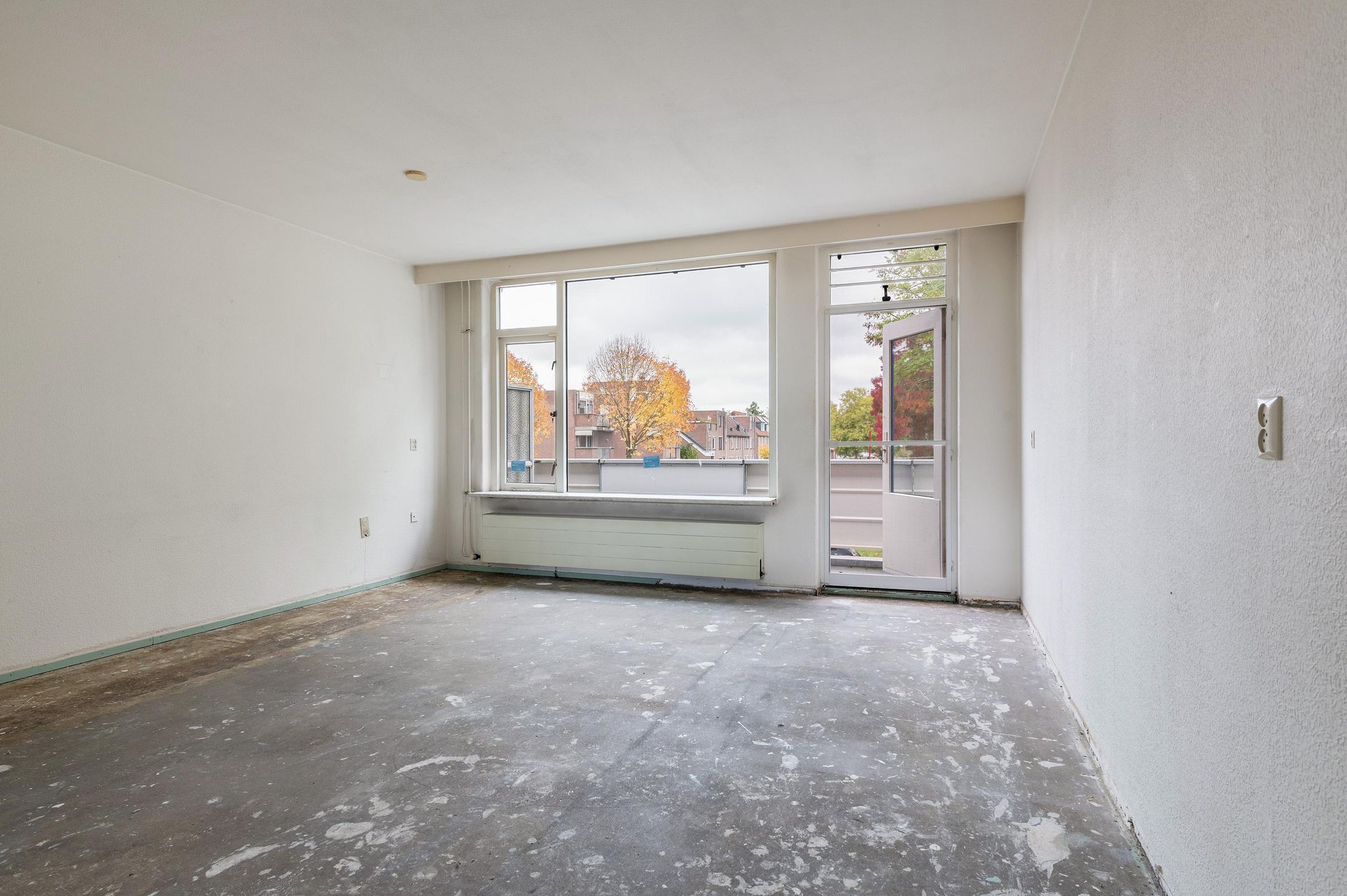 Foto 21 van Goudfazant 15