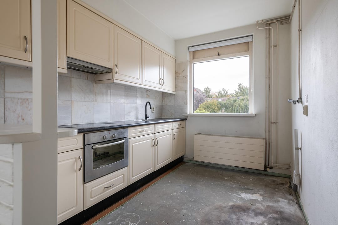 Foto 23 van Goudfazant 15