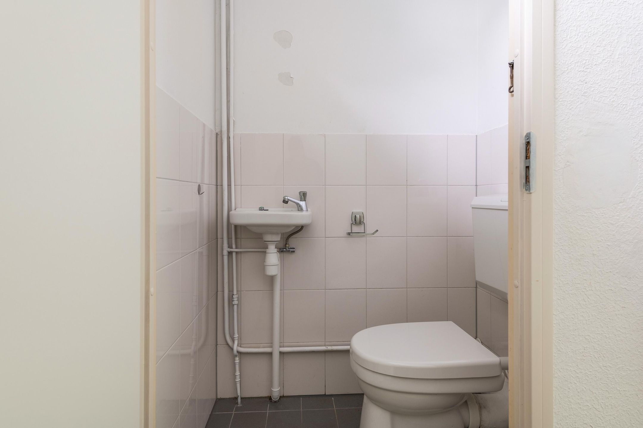 Foto 27 van Goudfazant 15