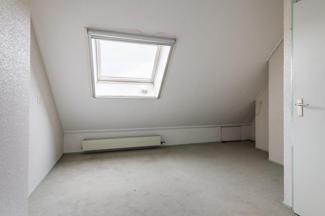 Foto 28 van Goudfazant 15