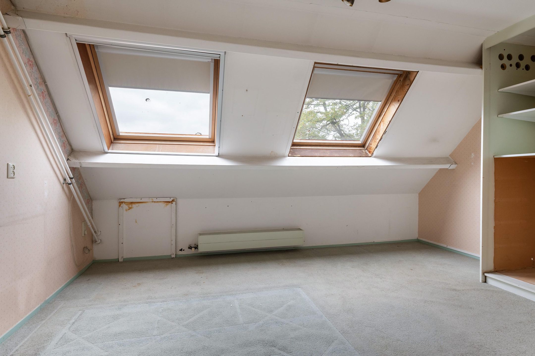 Foto 30 van Goudfazant 15