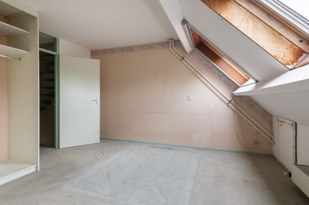 Foto 32 van Goudfazant 15