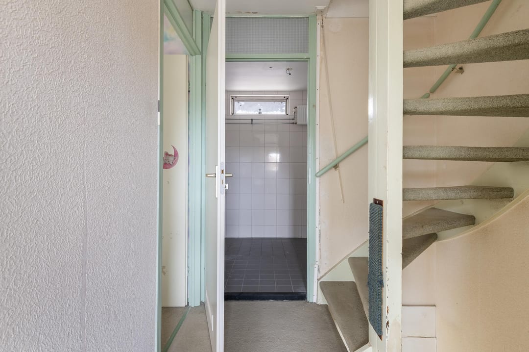 Foto 11 van Goudfazant 15