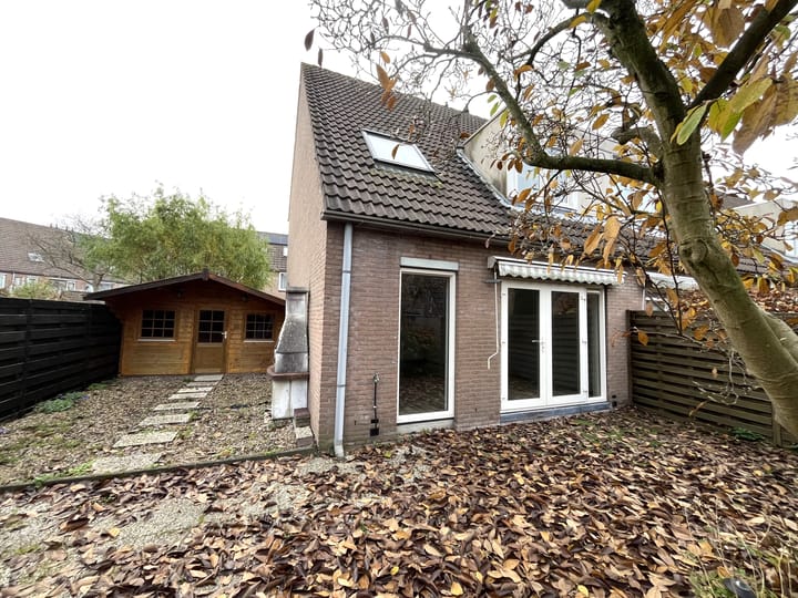 Foto 2 van Pinksterbloem 46