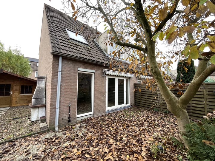 Foto 16 van Pinksterbloem 46