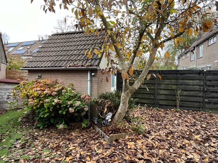 Foto 18 van Pinksterbloem 46