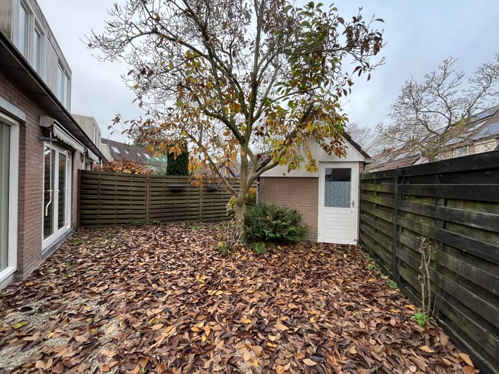 Foto 19 van Pinksterbloem 46