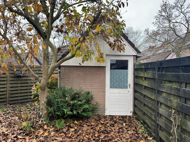 Foto 20 van Pinksterbloem 46