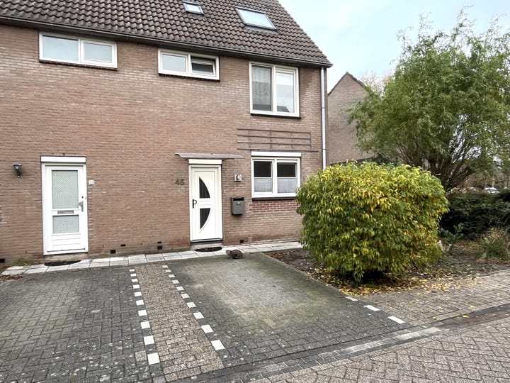 Foto 32 van Pinksterbloem 46