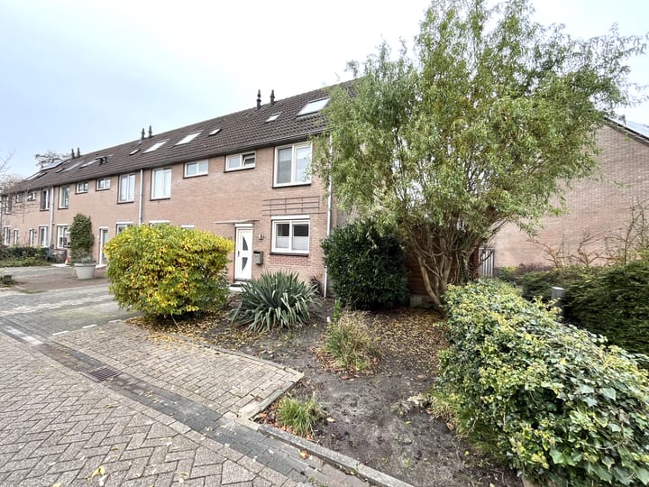 Foto 33 van Pinksterbloem 46