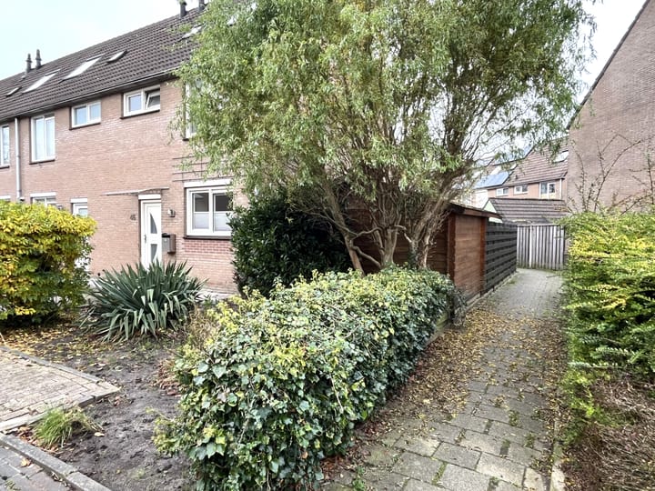 Foto 34 van Pinksterbloem 46