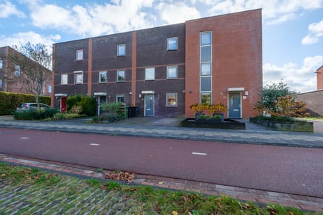 undefined main image