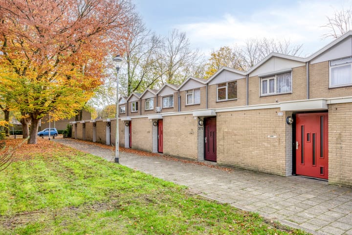 Photo 37 of Juraweide 375