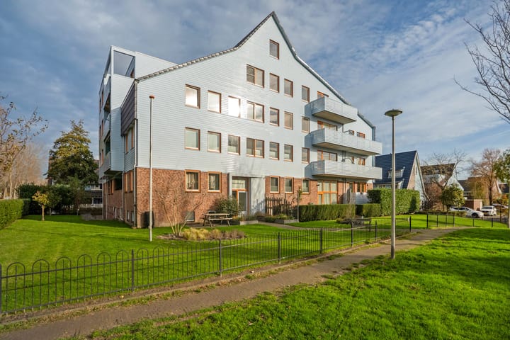 Photo 1 of Cypergras 117