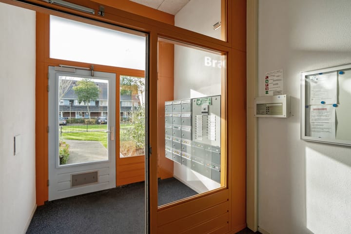 Photo 7 of Cypergras 117